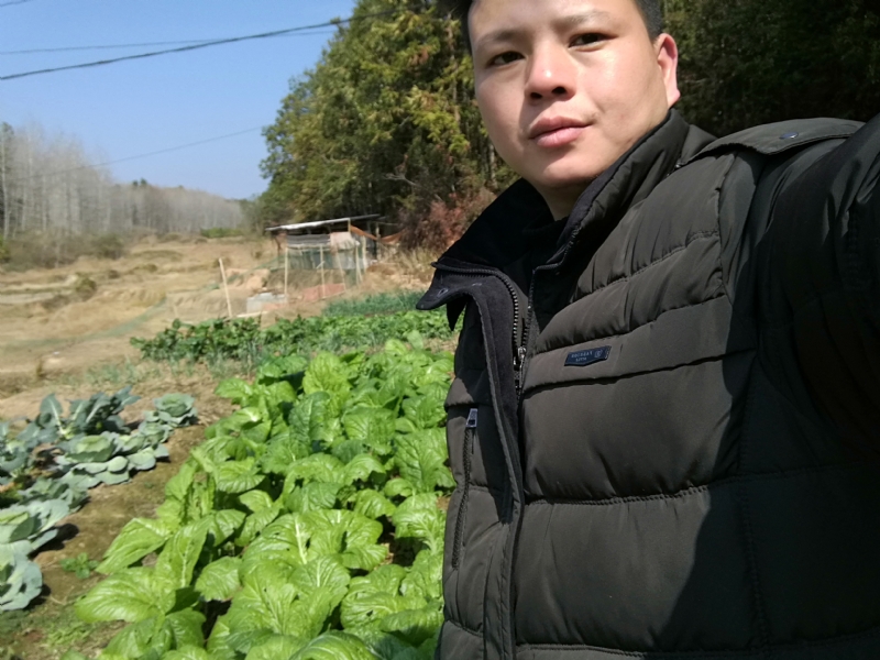 倔强的驴的第一张照片--闽侯相亲网