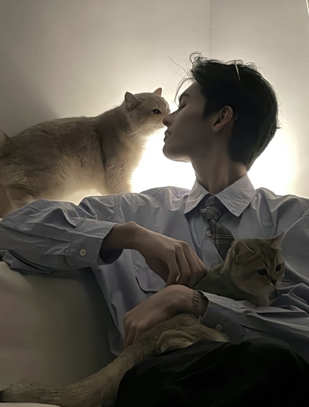 怪猫的第一张照片--闽侯相亲网